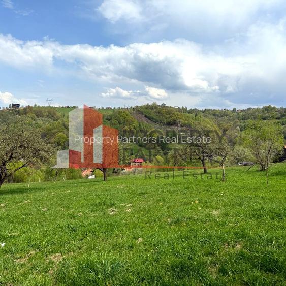 Casă tradițională sat Poarta, comuna Bran teren 1000 mp - 6