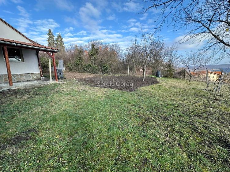 Vand Casa PLATOUL Cornesti str. CORNESTI- teren 1150 mp - 8