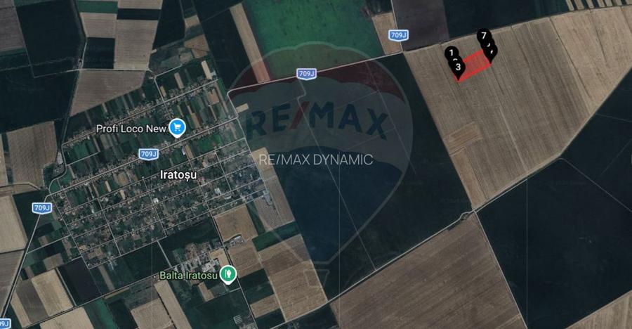 Teren extravilan 46,300mp Curtici - 2