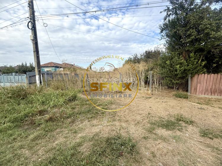 Teren 3905 mp Manasia, pozitie la drum judetean  - 6