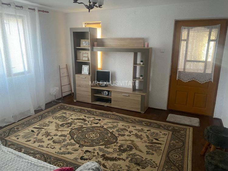 Proprietate rară – 2 case + livadă, vie și teren generos, la 20 km de Târgu Jiu - 8