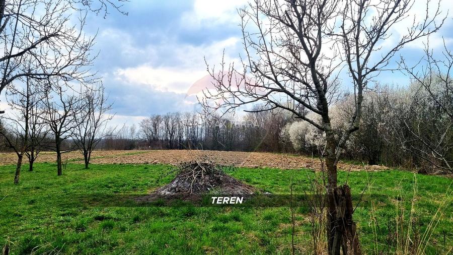 Casă din cărămidă cu teren generos de 2460 mp și anexe, în Borlești - 22