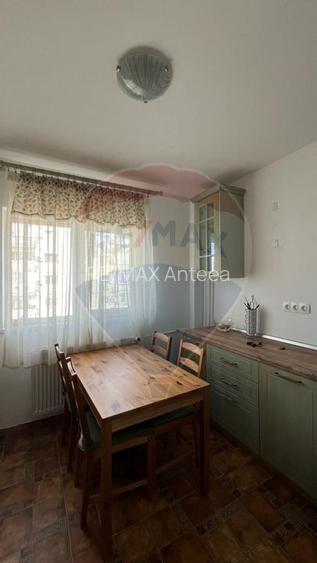 Apartament cu 2 camere - Drumul Taberei - statie Hanul Drumetului - 6