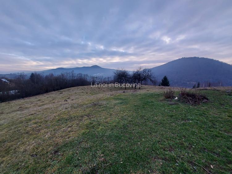 Vindem 53360 mp Bucovina - Vama - 3