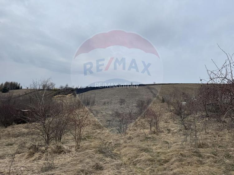 Teren intravilan 2307 mp în Salicea, zona premium, aproape de Cluj - 7