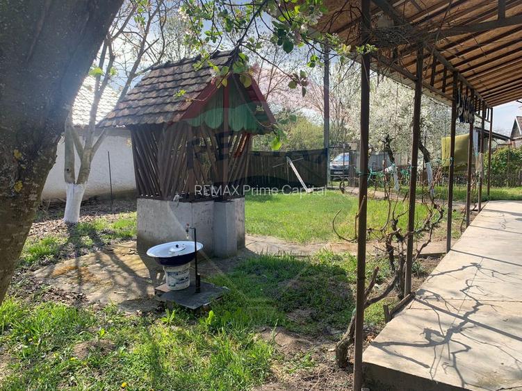 De vânzare casă cu 3 camere și teren 1090 mp în Ant - 14