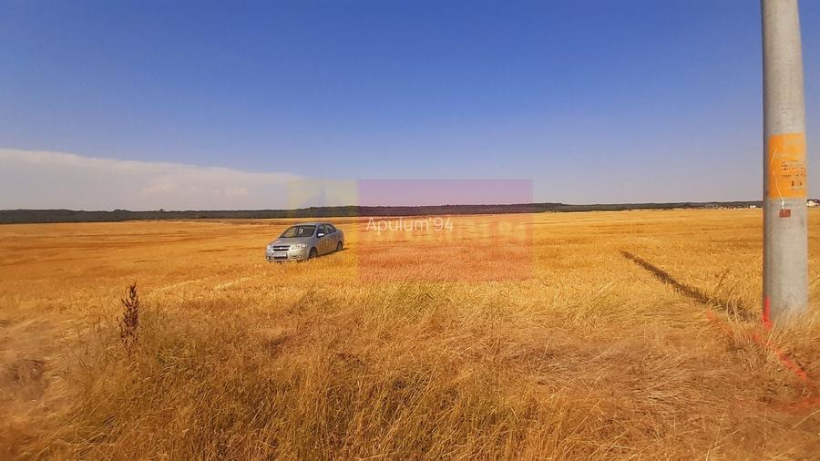 Teren pentru casă/case în Brănești pe strada Toporași - 11