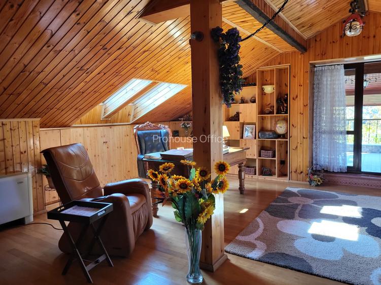 Vilă cu mobilă exotică și artă caraibiană – Snagov/Ciofliceni, aproape de lac - 9