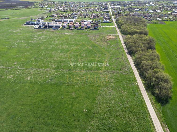 Teren intravilan 1490mp | SAD | Covaci - 5