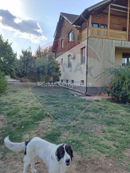 De vanzare vila langa lac la Moara Vlasiei - 37