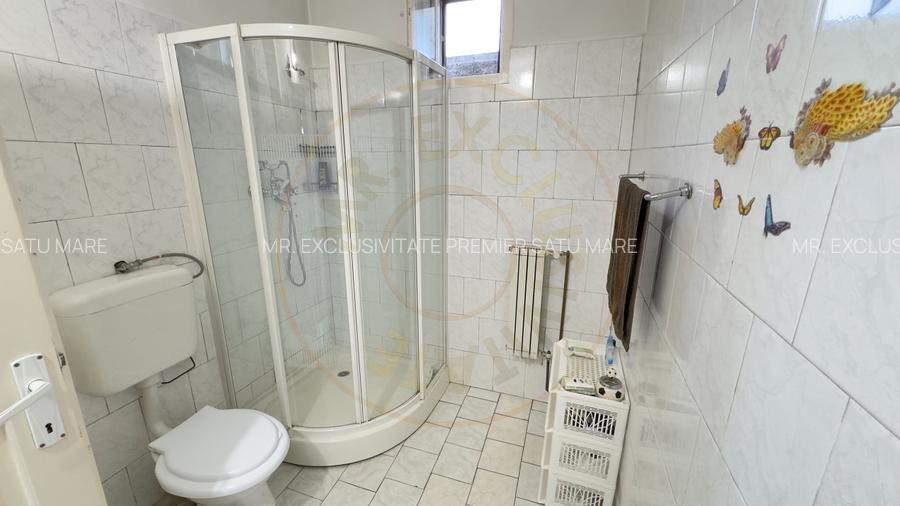 Casa 7 camere cu Teren 4.620 mp | Potential pentru rezidenta sau afacere | Carei - 16