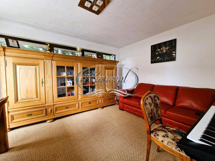 Casa deosebita in Faget - 20