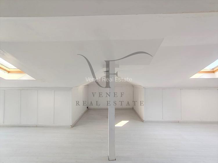 Vila 9 camere 3 grupuri sanitare 1 terasa 354 mp Vasile Lascar Stefan cel Mare - 36