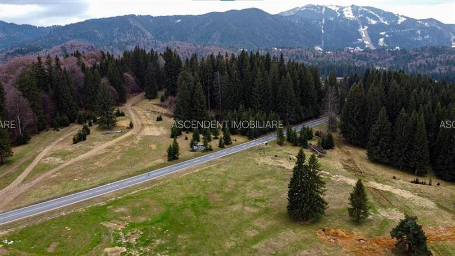 Teren cu potential:1.000 mp,proiect turistic/rezidential,Poiana Brasov - 17