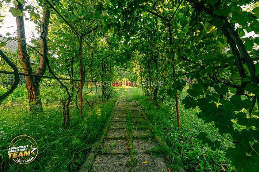 FILM! Casuta cu peste 800mp teren, areal estimabil, Lenin, Sfantu Gheorghe - 10