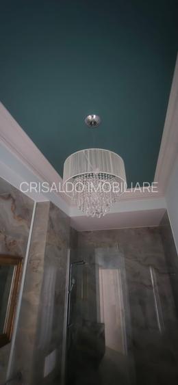 Proprietate deosebita Iancu Nicolae - 24