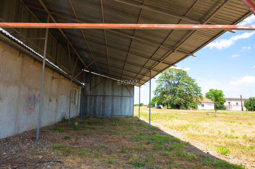 Spațiu depozit și birouri - 9