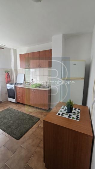 Apartament 2 Camere,Tineretului,Metrou,DECOMANDAT,Amenajat,mobilat,complet - 11