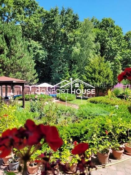 VILA D+P+E+M, 12 camere, piscina , padure, IANCU NICOLAE - 7