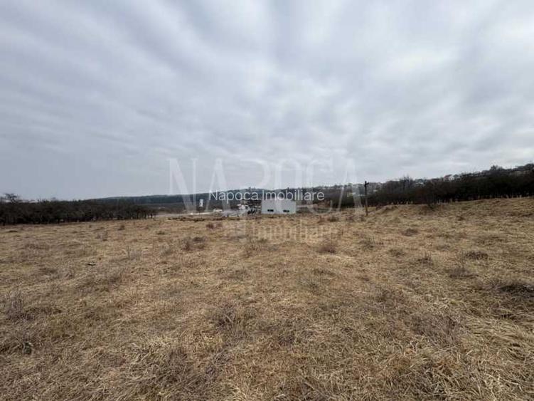 Teren intravilan pentru constructii de vanzare in Feleacu - 2