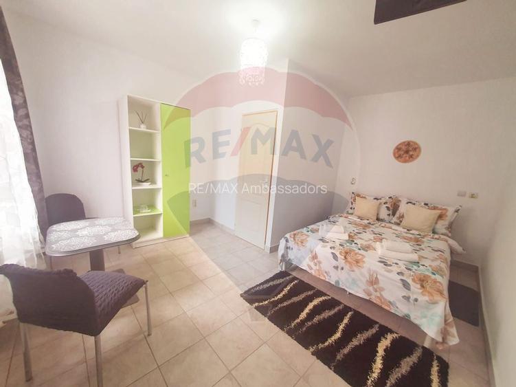 OPORTUNITATE UNICĂ: CASĂ DE VIS ȘI AFACERE LA CHEIE ÎN BERZASCA! - 6