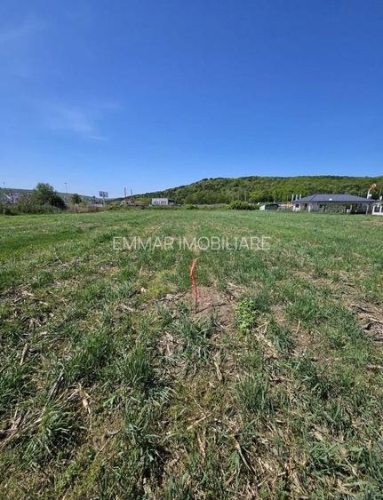 Teren autorizat Jucu de Mijloc 6 4 2 case - 2