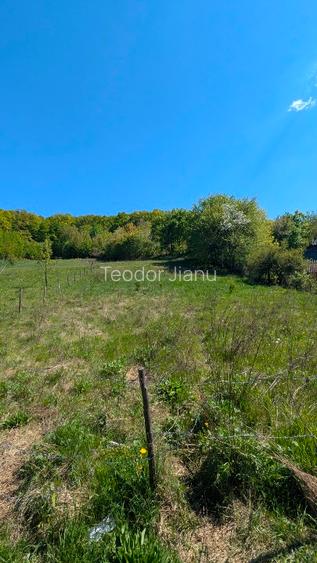 Teren intravilan de vânzare – zonă liniștită, priveliște, superidal pentru casă  - 3