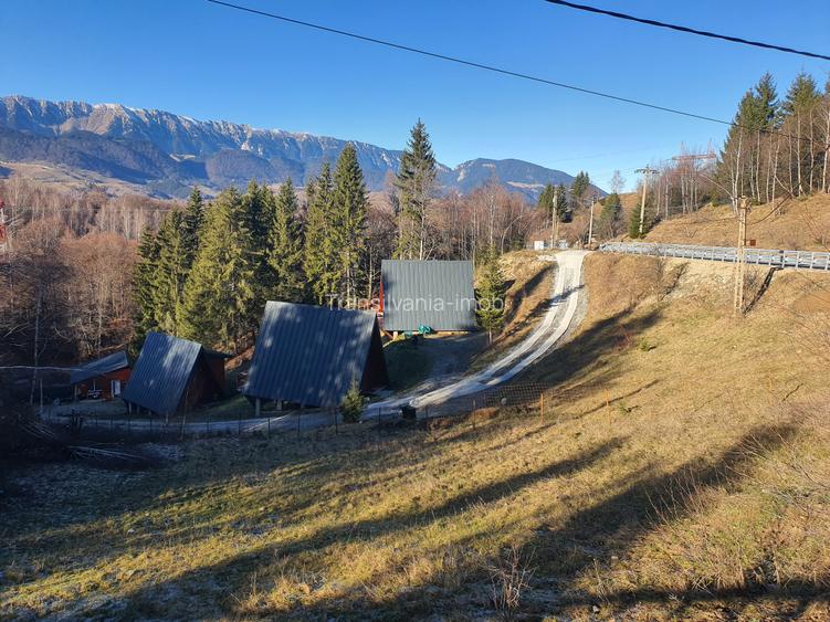 Teren Bran – Moieciu de jos - 3