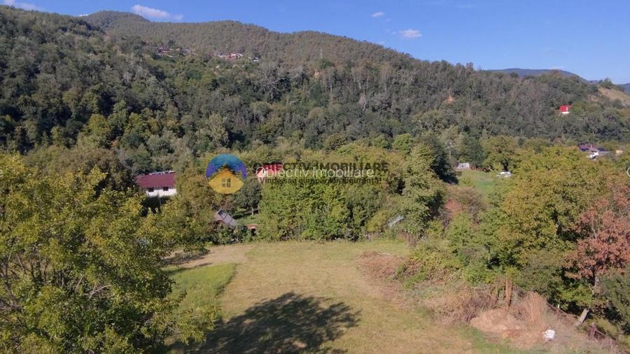 Casa tradițională de vânzare - Alexandru cel Bun - 7