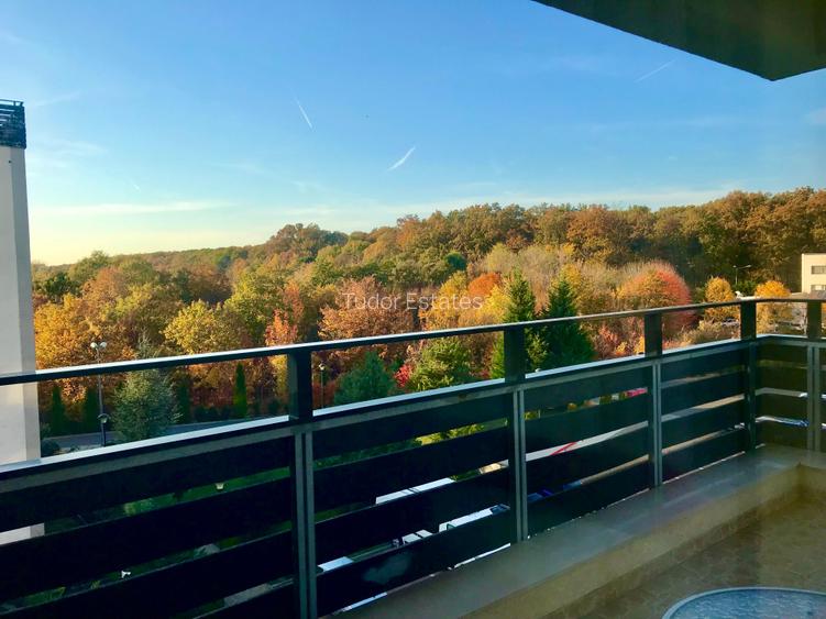 Apartament de inchiriat in complex cu piscina, gym si loc de joaca pentru copii - 7