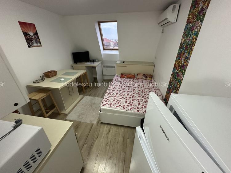 Apartament 1 camera la Mansarda - 4