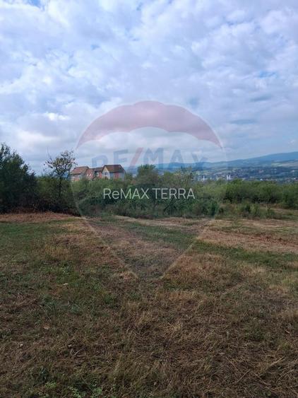 Teren 5,700mp Somcuta Mare / investitie cu potential major - 8