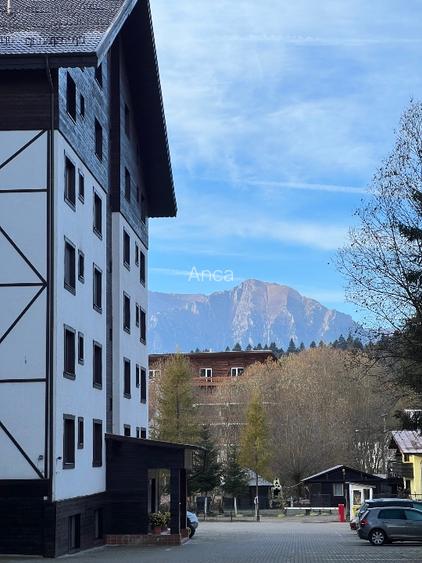 Apartament de vacanță pârtia CLĂBUCET  - 3