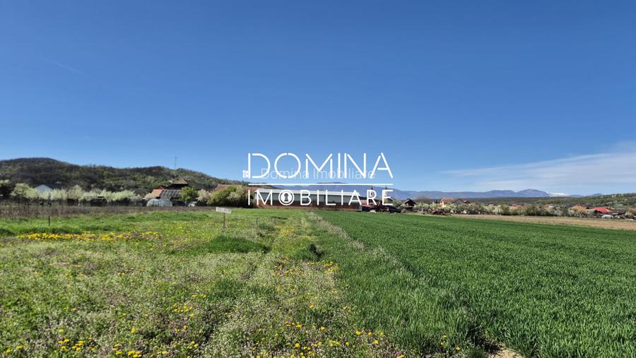 Vânzare loturi teren intravilan 520 mp - Sat Ceauru - la 10 km de Târgu Jiu - 4