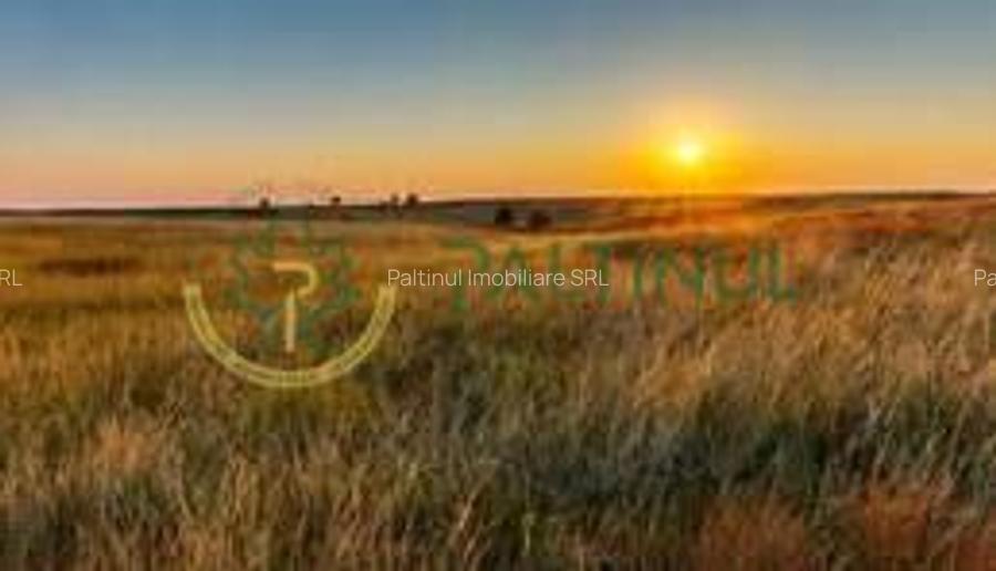 Teren de vânzare – Poplaca, Sibiu - 9