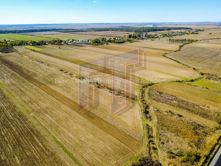 Terenuri industriale cu deschidere la A1, km 64 – Jugureni, Dâmbovița - 13