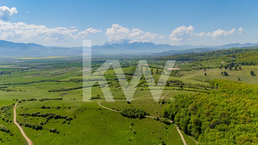 Teren 1500 mp | Zona Viesel – Codlea | Priveliște Superbă | Investiție
