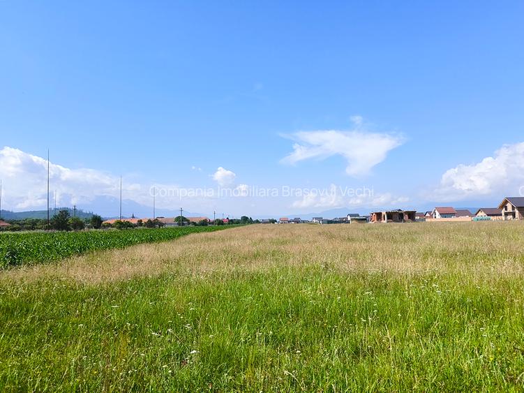 Teren - lot de casa in Cristian - Brasov. - 10