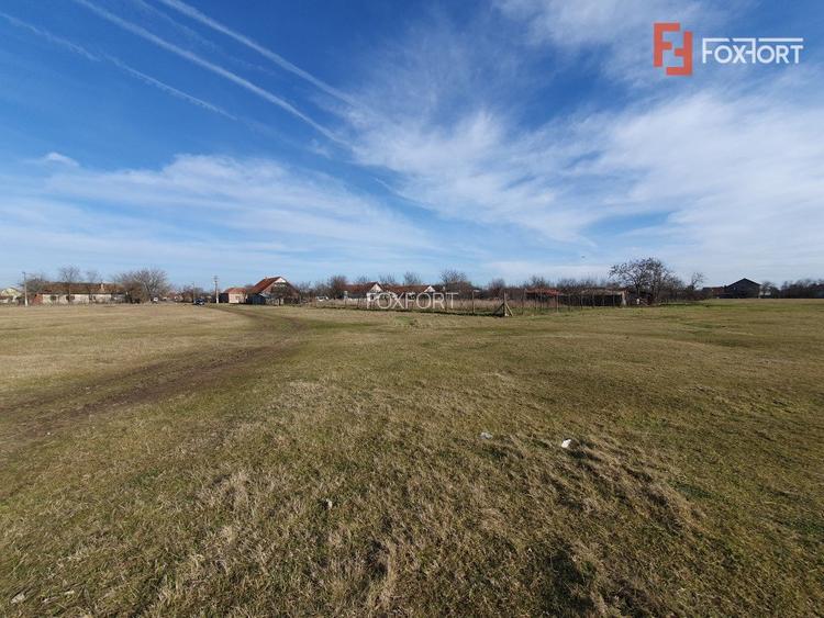 COMISION 0% Teren intravilan 6400 mp la drum asfaltat - Padureni - 15