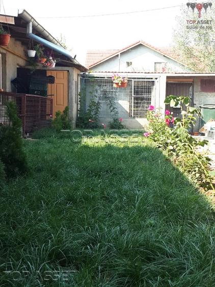 Chiajna - parcul Viitorului - 6