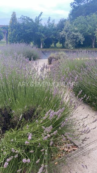 Vanzare casa Paradisul Verde Corbeanca - 14