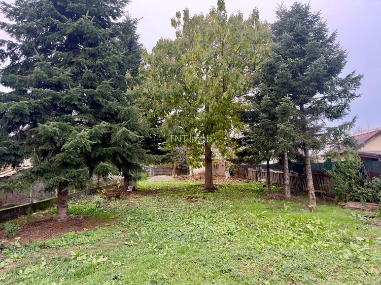 Teren Intravilan | Deschidere Lac Snagov | Ponton | Curatat | Toate utilitatile - 12