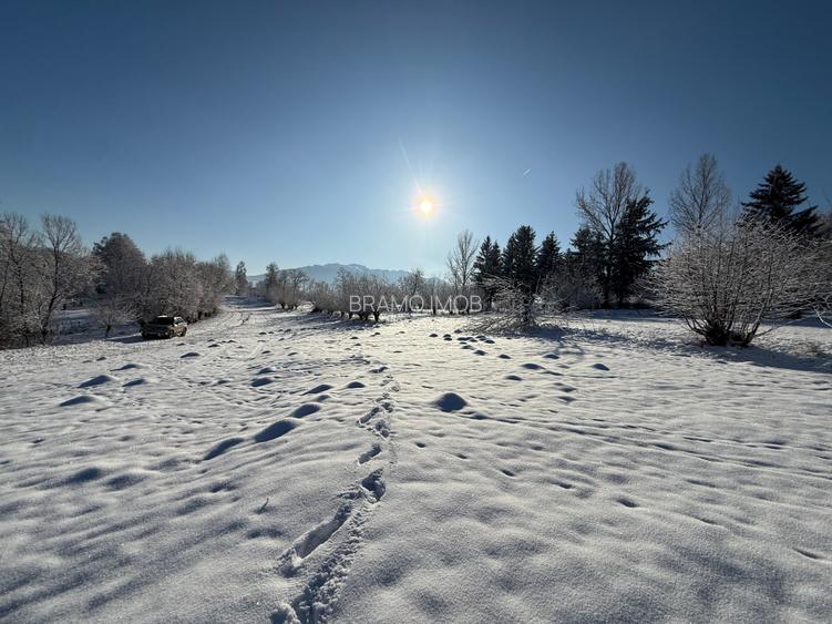Teren intravilan loturi intre 500 si 1000 m la 14 km de Rasnov - 5