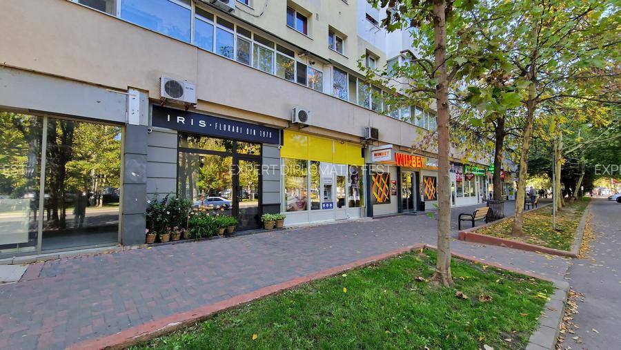 Dristor - Piata Ambrozie - sup 98 mp - pret 2500 euro + TVA - 6