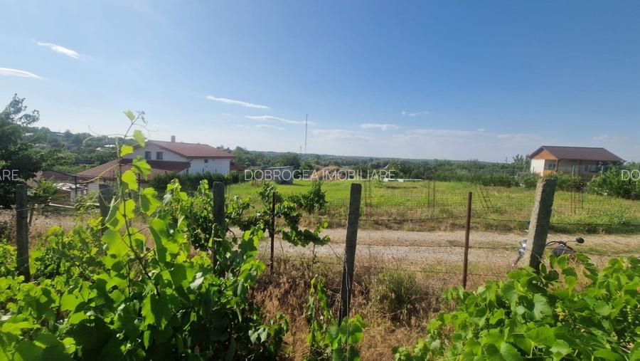 NUFARU-  TEREN INTRAVILAN , 1100 MP - 2