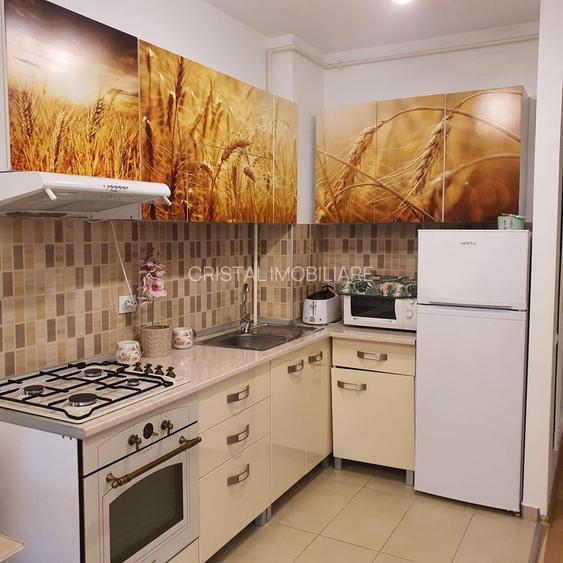 2 camere cu gradina proprie 25 mp, centrala, complex Edenia - 7