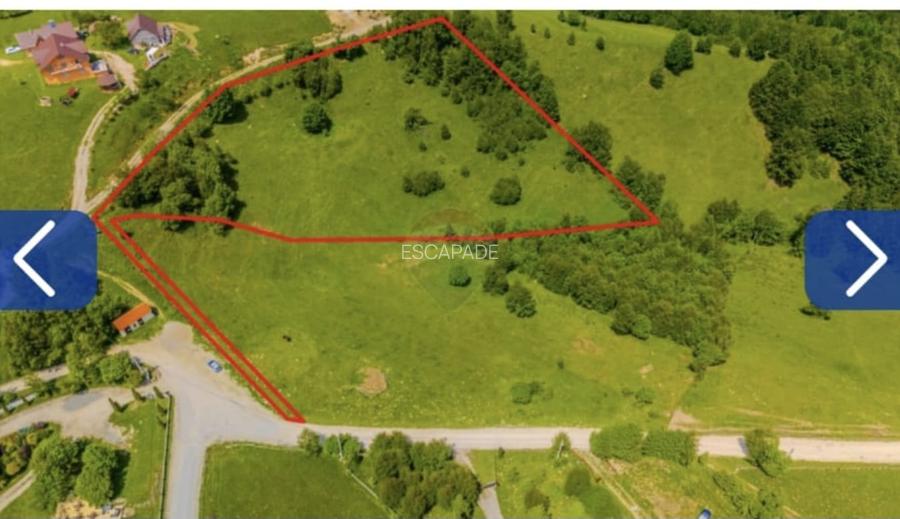 Teren superb intravilan  Pestera- Brasov, 11.908 mp - 2