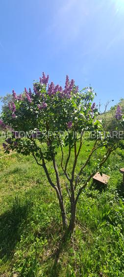 Casa si teren Floresti-Stoenesti,acces A1 - 9