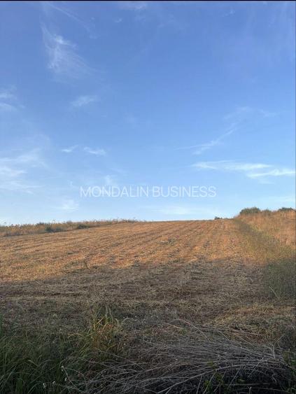 Vânzare- Teren Extravilan- 7496 MP , Calea Bihorului, Oradea. - 3