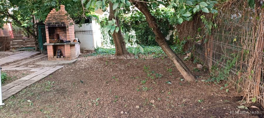 Vanzare  Vile  Pipera - 8